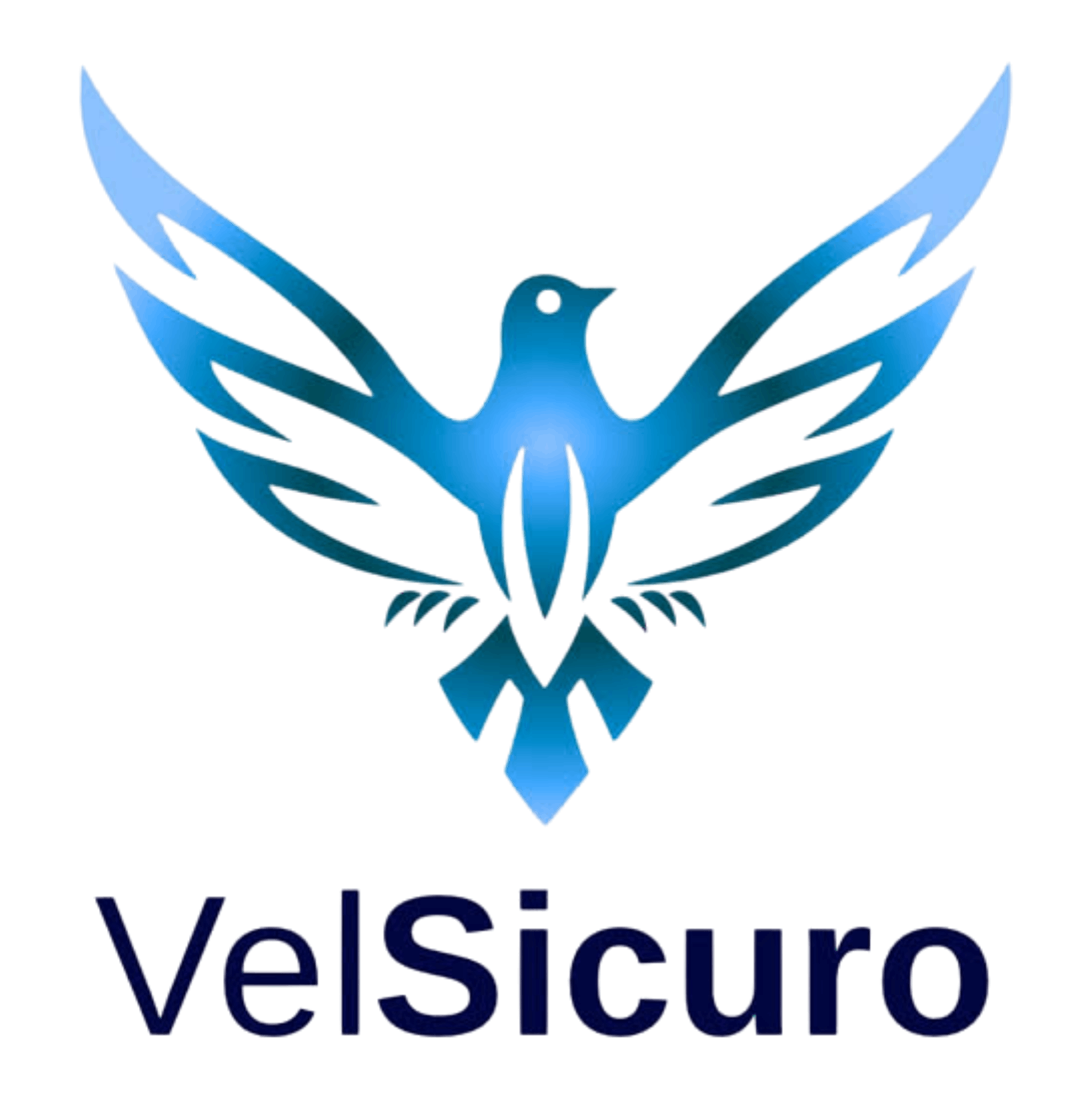 PT. Veloce Indonesia Jaya (VELSICURO)